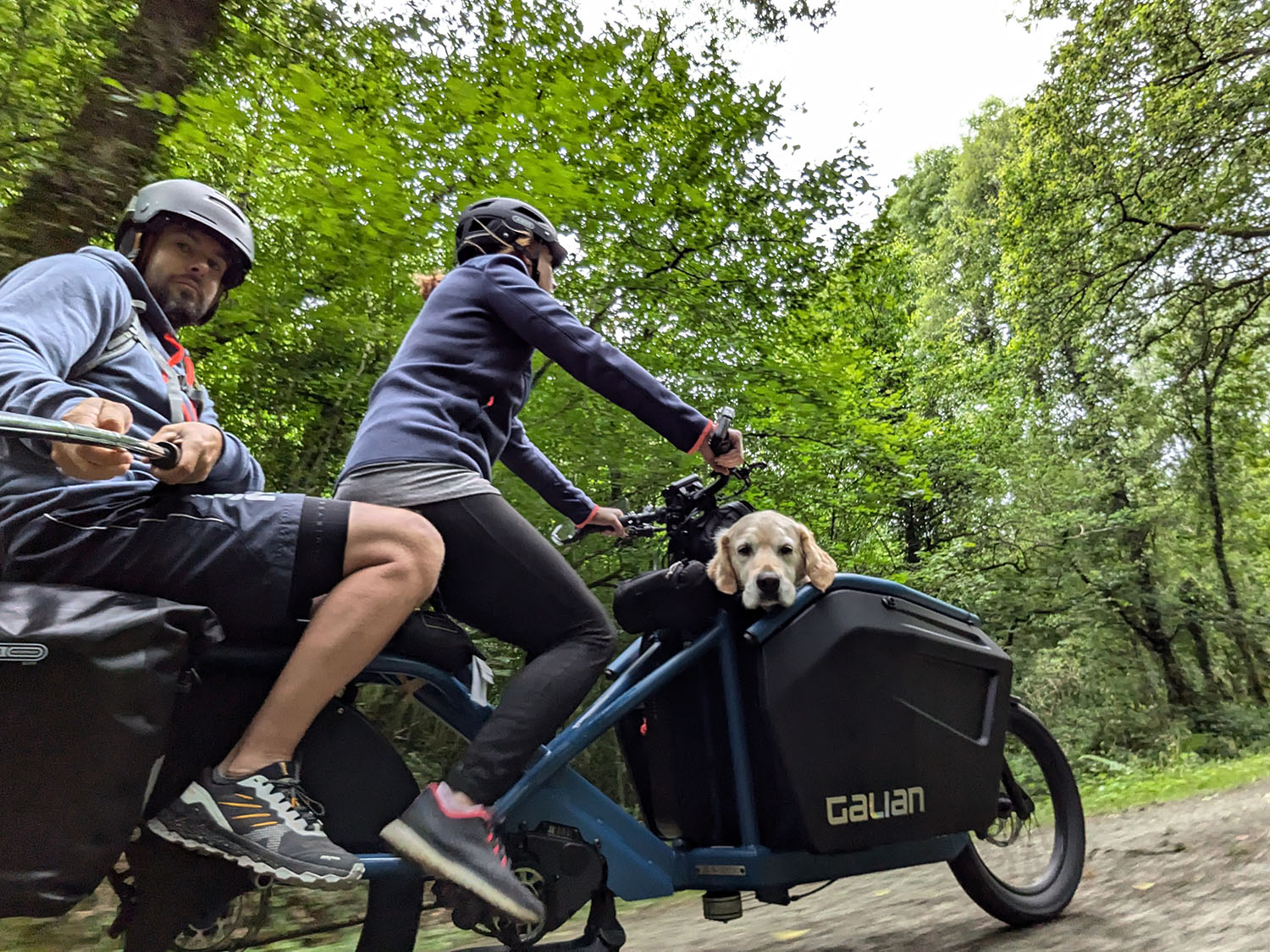 Rando vélo cargo avec chien