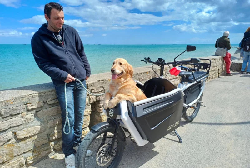 4-person e-cargo bike carries the whole family ... or 400 lb of cargo